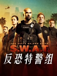 反恐特警组