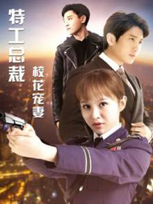 特工总裁校花宠妻