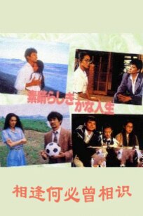 相逢何必曾相识